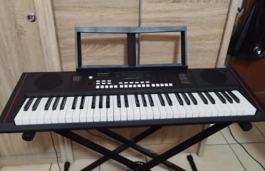 Roland  E-X10 電子琴